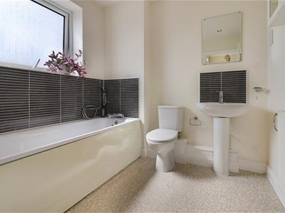 Picture 13